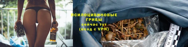первитин Лагань