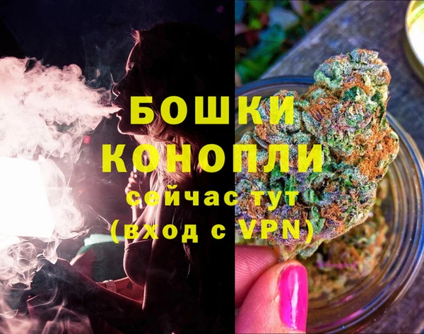 трава Лабытнанги