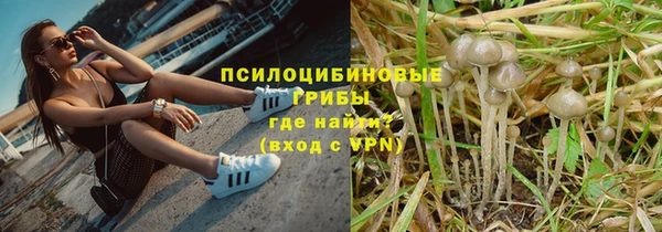 индика Лиски
