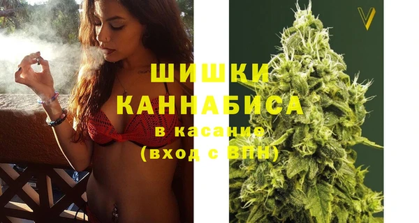 spice Ладушкин