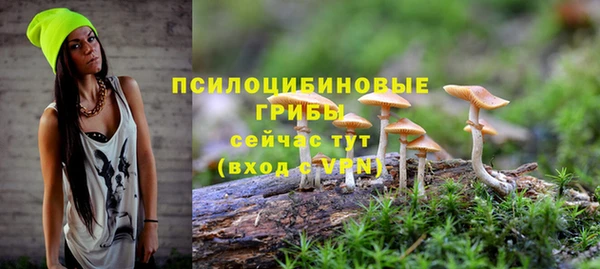 первитин Лагань