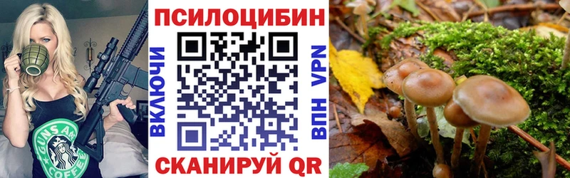 хочу наркоту  omg сайт  Галлюциногенные грибы прущие грибы  Сочи 
